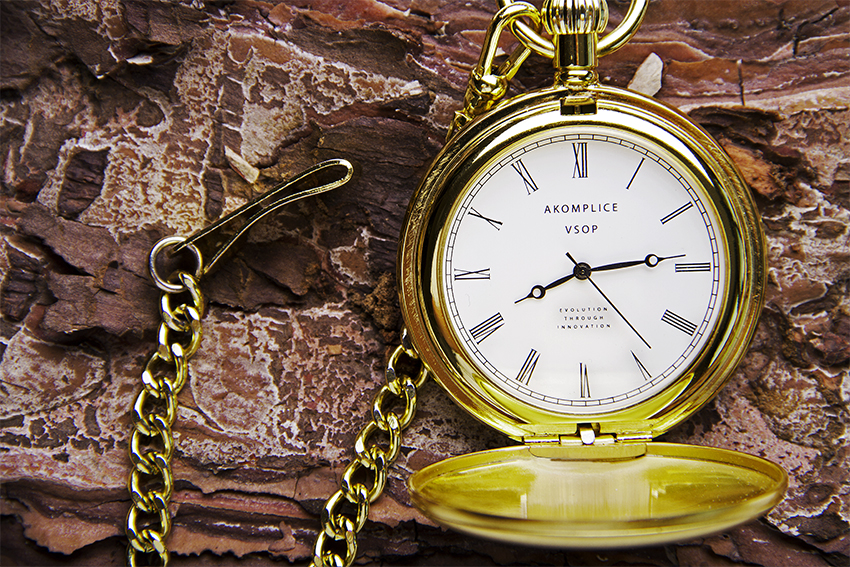 Pocket Watch on bark