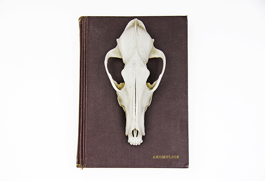 skullbook