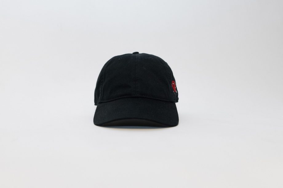 Follow Your Heart Dad Hat