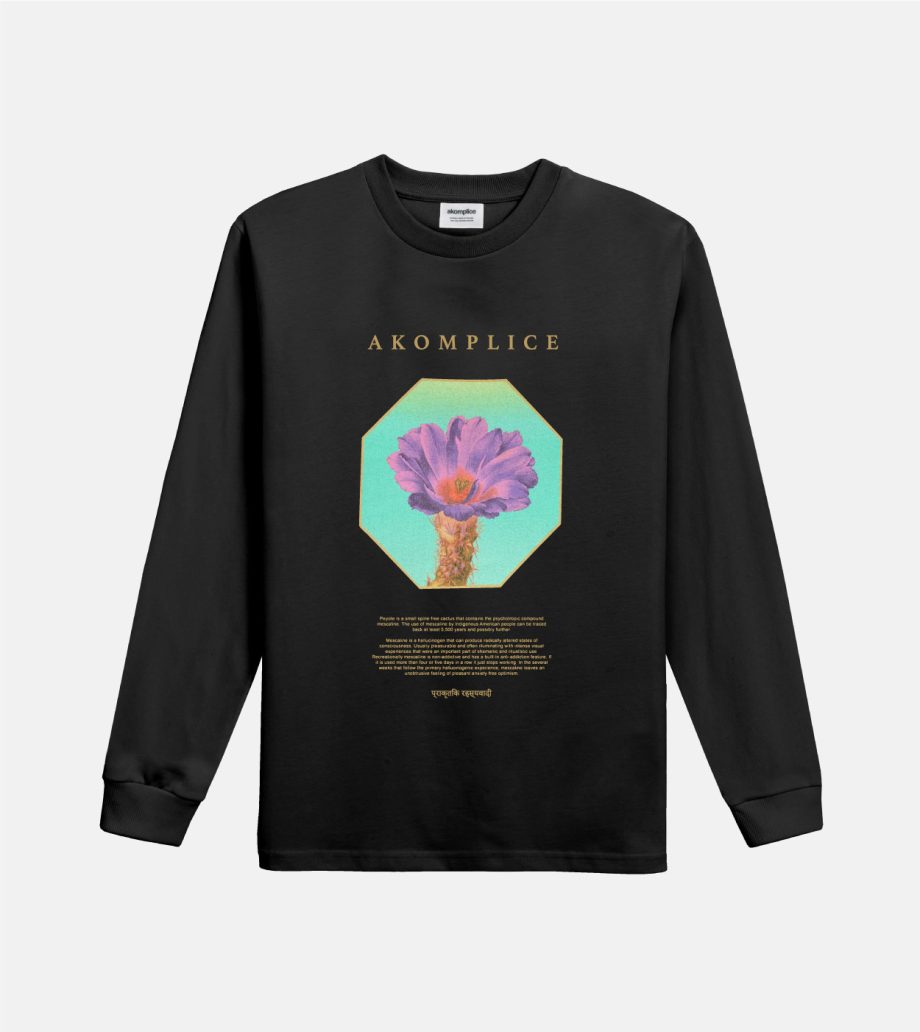 Shamanic Journey LS Tee