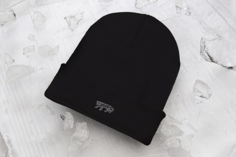PROTECTBEANIE-FRONT