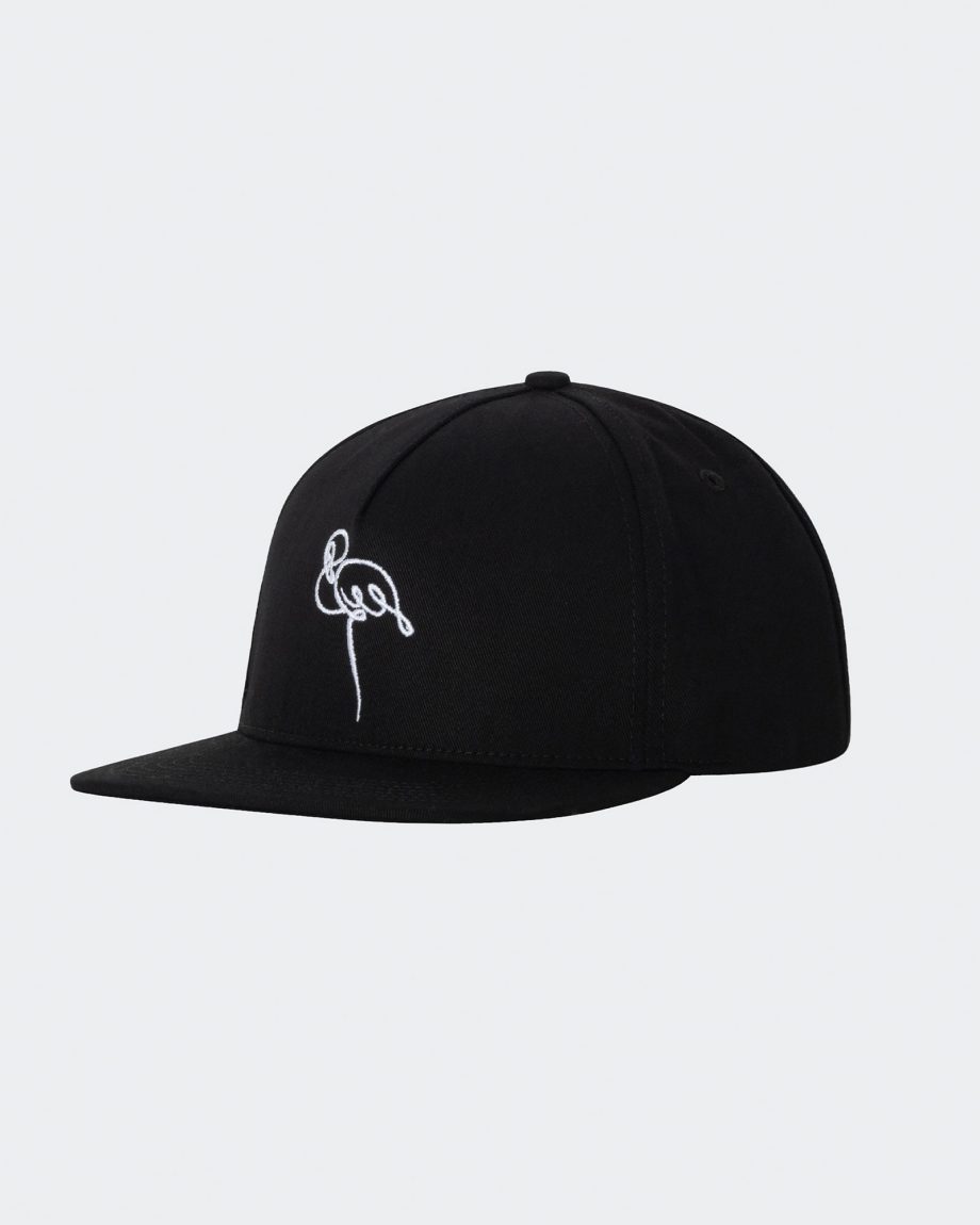 SCRIPT SNAPBACK